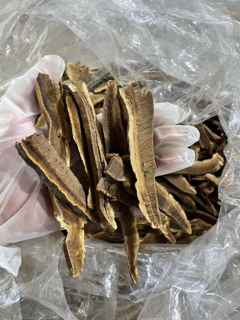 野生黑灵芝片不苦薄树芝切片煲汤煮水均可全国供应