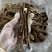 野生黑灵芝片不苦薄树芝切片煲汤煮水均可全国供应