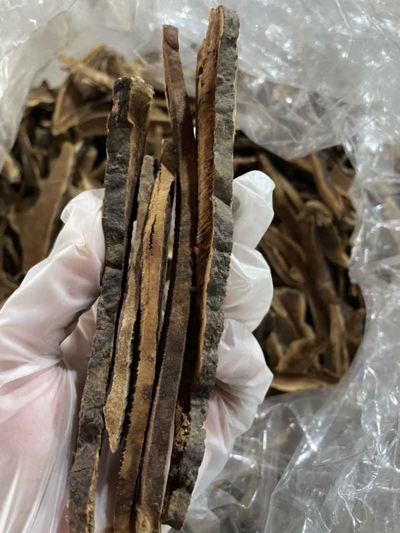 野生黑灵芝片不苦薄树芝切片煲汤煮水均可全国供应