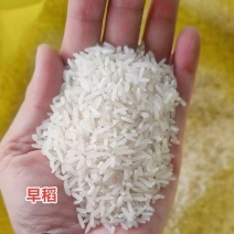 《早稻大米》湖南基地直发对接全国一条龙服务