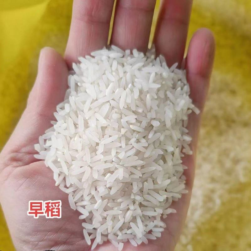 《早稻大米》湖南基地直发对接全国一条龙服务