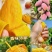 贵妃芒果