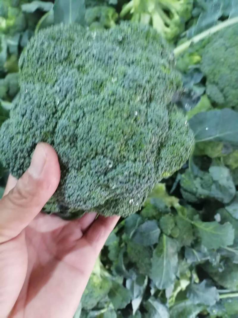 西兰花