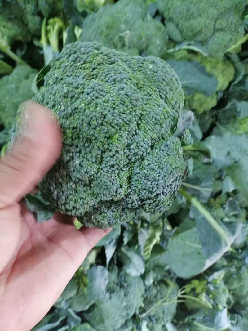 西兰花