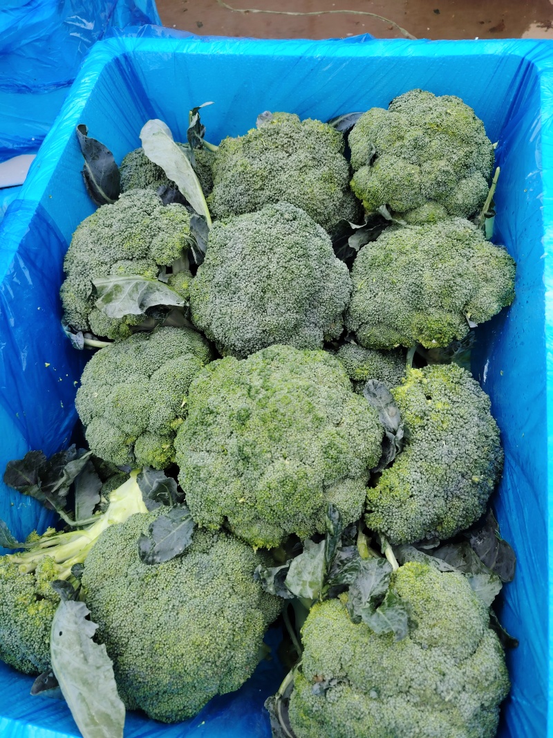 西兰花
