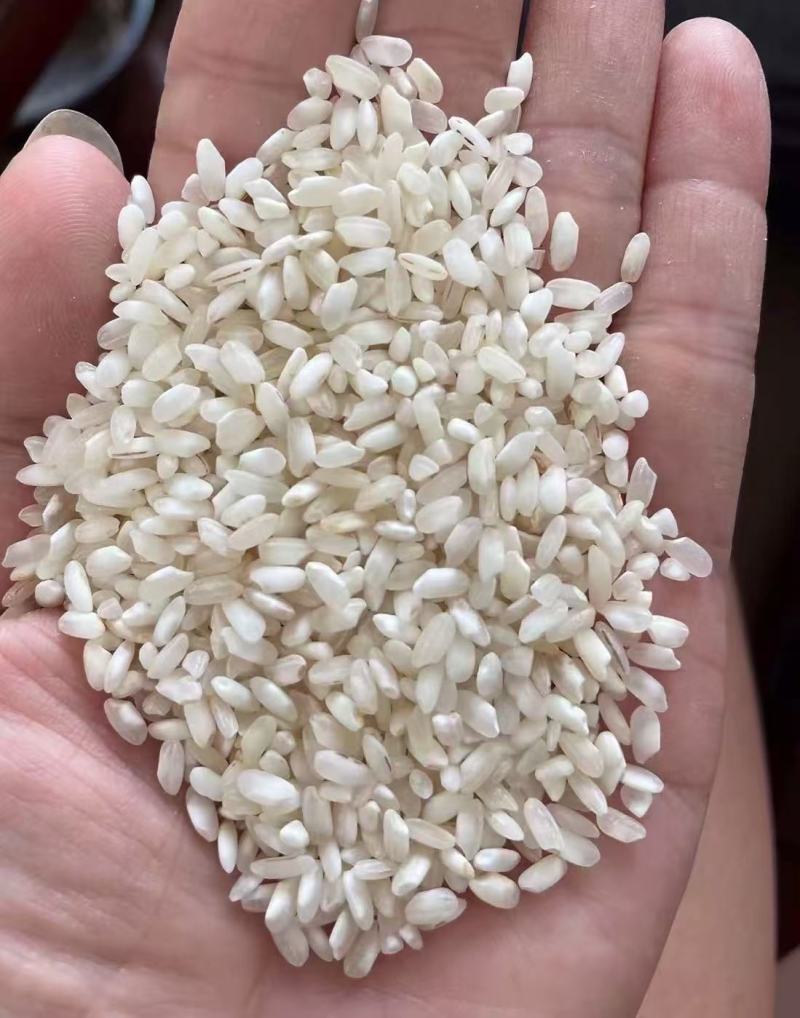 《推荐》湖南早稻大米大量上市中全年有货对接全国量大从优
