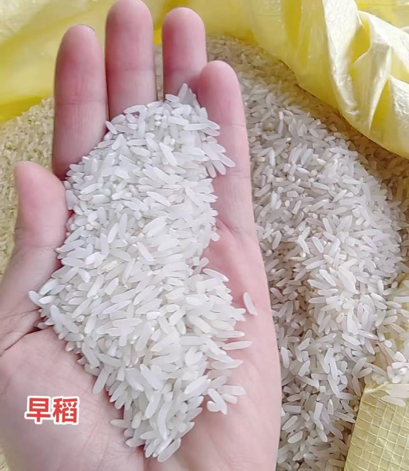 《推荐》湖南早稻大米大量上市中全年有货对接全国量大从优