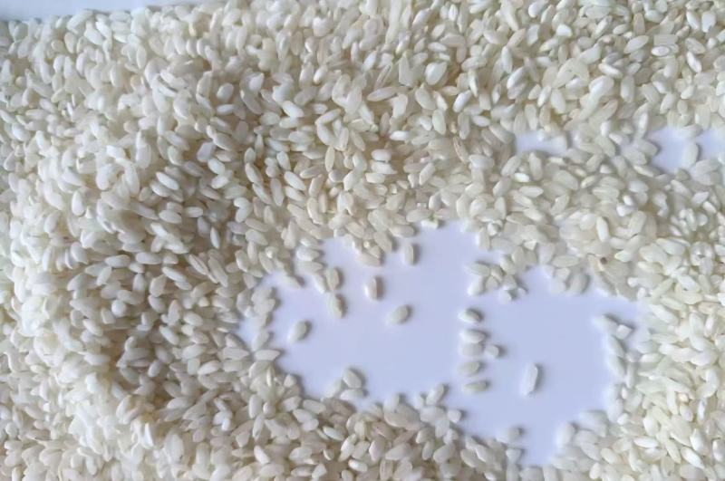 《推荐》湖南早稻大米大量上市中全年有货对接全国量大从优