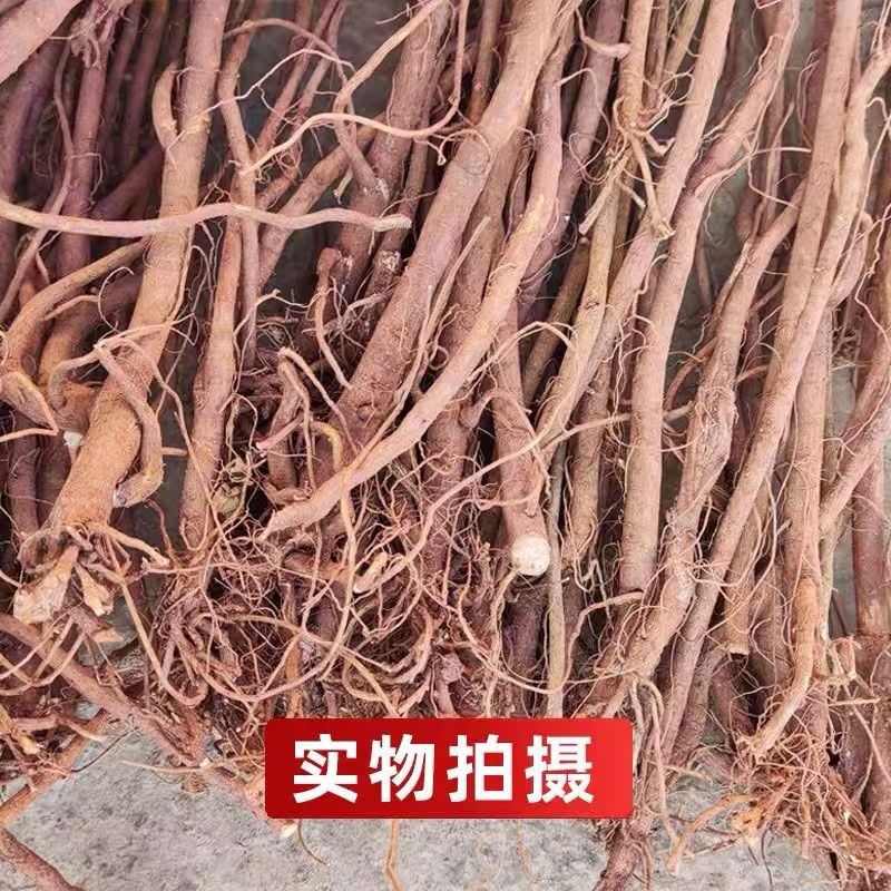 广西千斤拔产地直发质量保证价格实惠可视频看货
