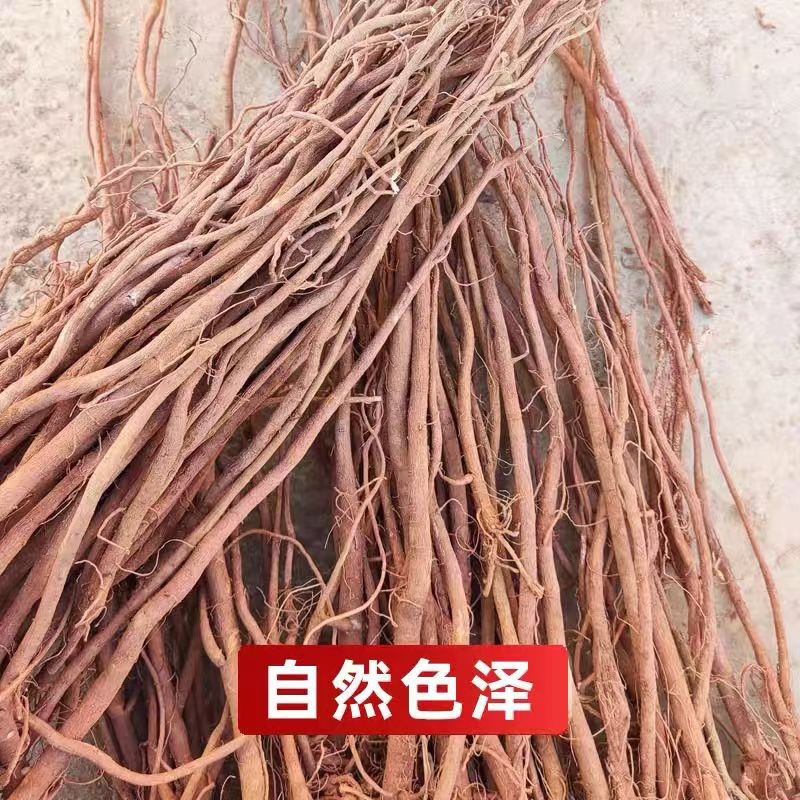 广西千斤拔产地直发质量保证价格实惠可视频看货