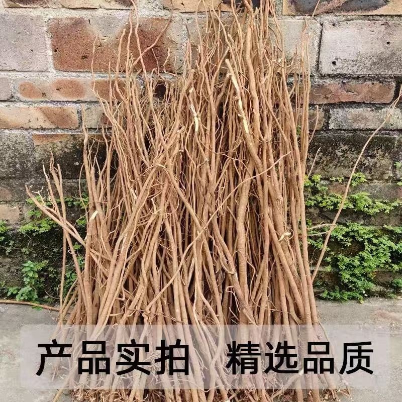 广西千斤拔产地直发质量保证价格实惠可视频看货