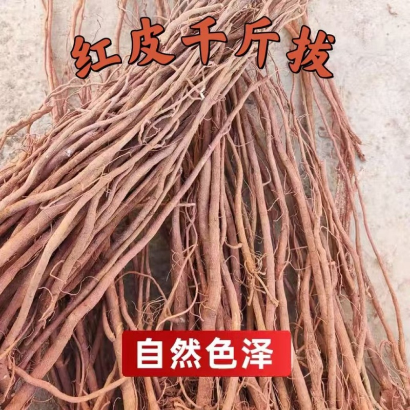 广西千斤拔产地直发质量保证价格实惠可视频看货