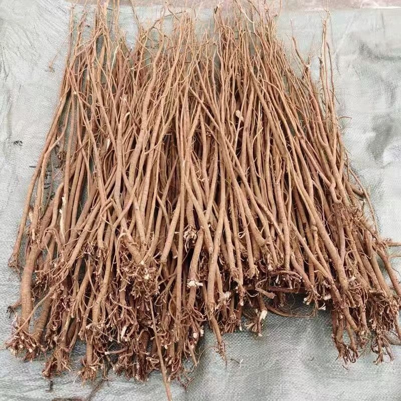 广西千斤拔产地直发质量保证价格实惠可视频看货