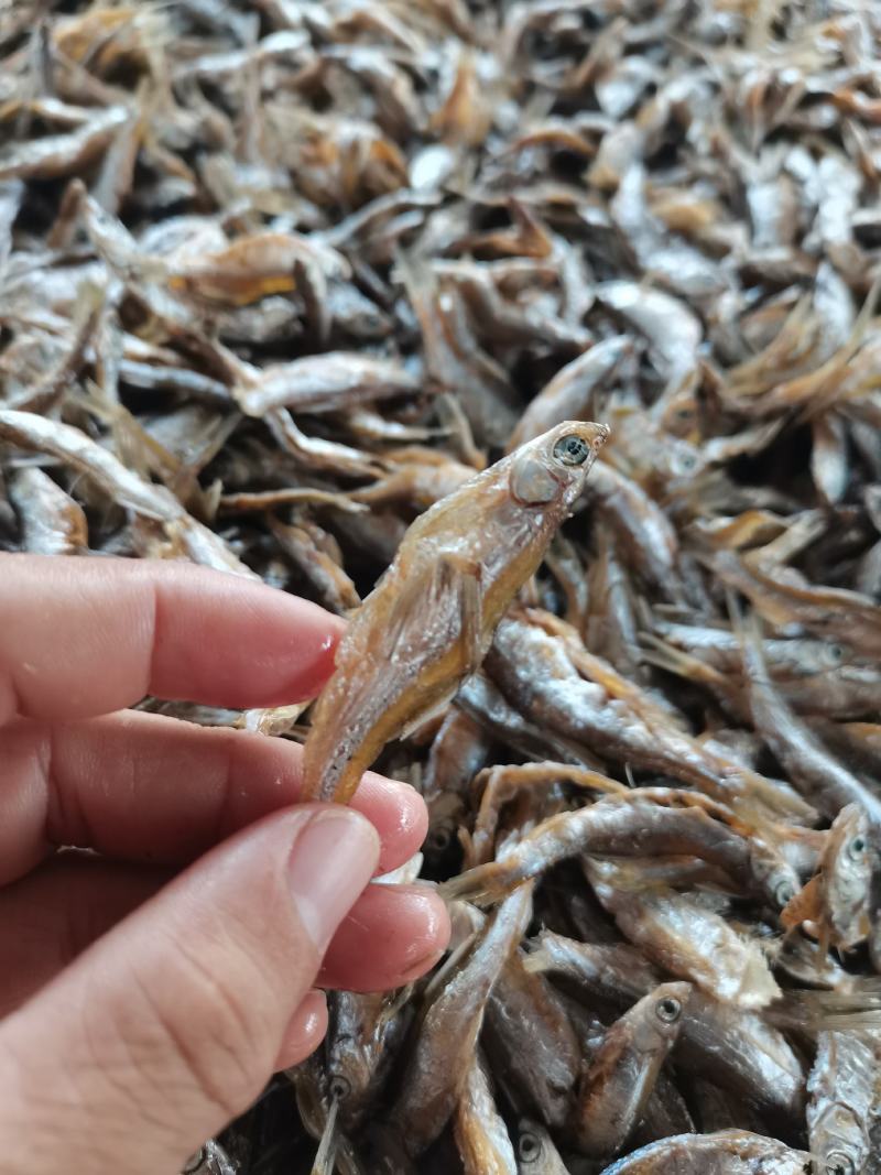 油炸开肚白肖/鱼干/水库鱼/小白条/干货/包邮