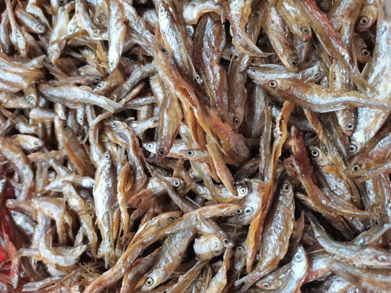 油炸开肚白肖/鱼干/水库鱼/小白条/干货/包邮