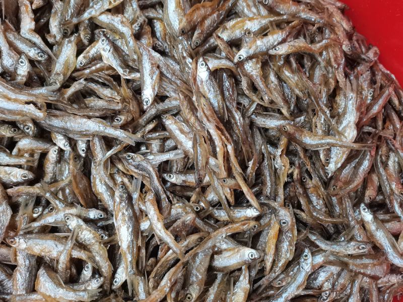油炸开肚白肖/鱼干/水库鱼/小白条/干货/包邮