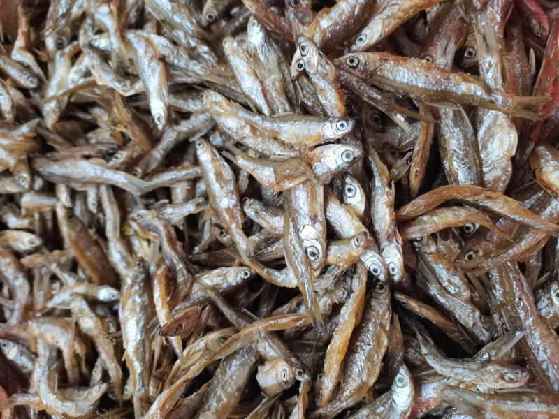 油炸开肚白肖/鱼干/水库鱼/小白条/干货/包邮