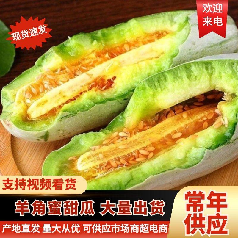 河北羊角蜜甜瓜万亩基地直供糖度高条形好实力供货