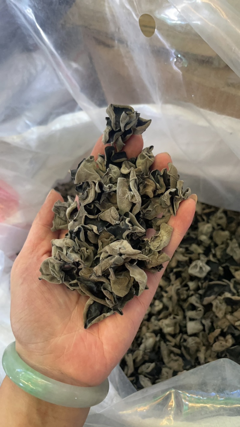 精品木耳大量上市供货稳定存储容易运输方便全国供应价格美丽