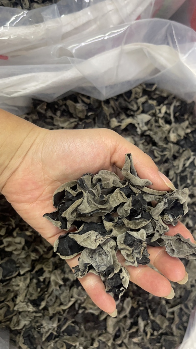 精品木耳大量上市供货稳定存储容易运输方便全国供应价格美丽