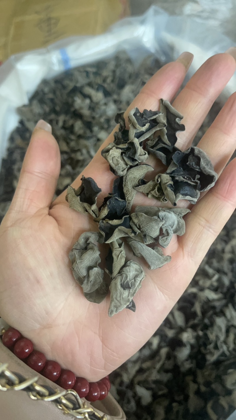精品木耳大量上市供货稳定存储容易运输方便全国供应价格美丽