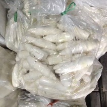 茭白肉茭白条子货源充足量大从优诚信经营致电联系