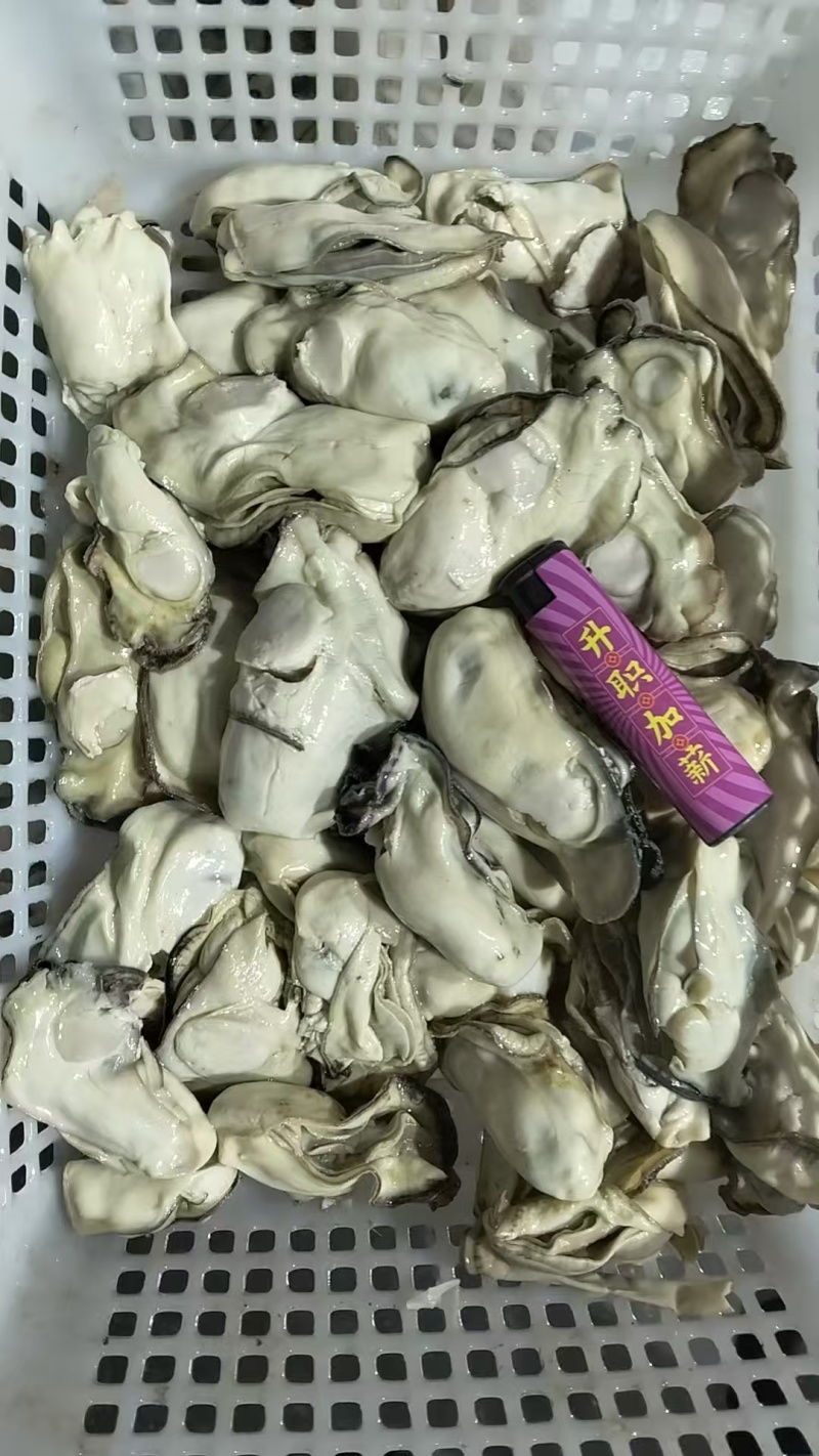 ！熟冻乳山生蚝肉纯熟冻颗粒10-20