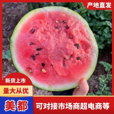 无籽美都产地大量上市小薄皮糖度高红度好保质保量