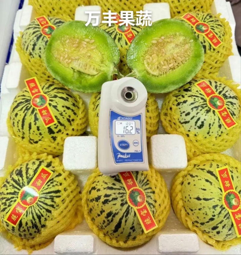 山东花蕾花美人花仙子吉糖大量上市产地源头直供