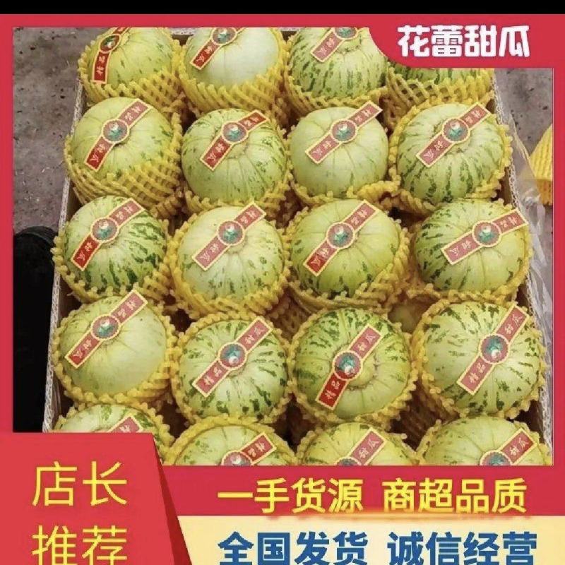 花蕾花仙子花美人吉糖金兰基地直发对接商超