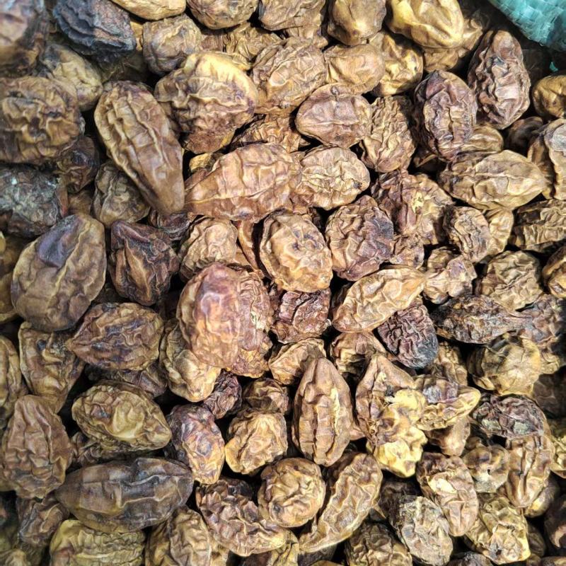 《云南》诃子直发保质保量对接全国量大从优