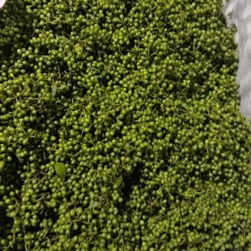 纯野生山胡椒(木姜子)