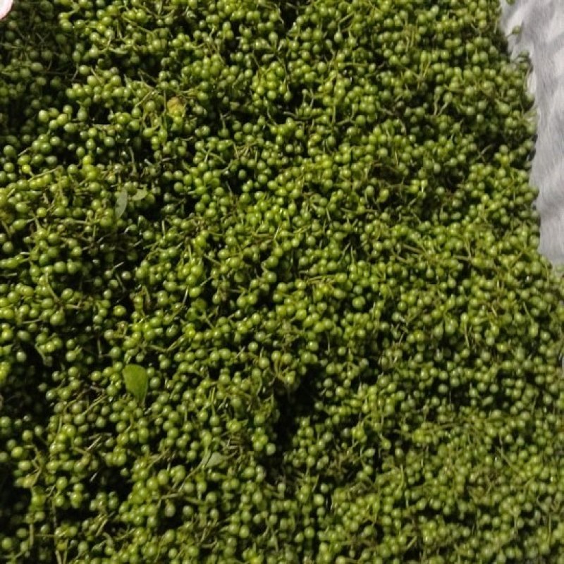 纯野生山胡椒(木姜子)