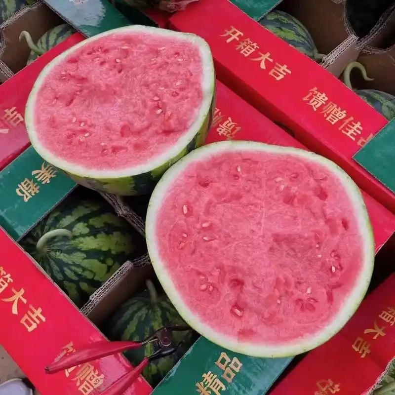 江苏盐城美都无籽基地直发一手货源价格优美有意联系