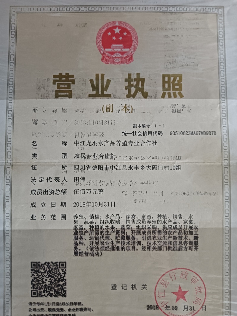 四川德阳大棚种植口口脆西瓜农户一手货源大量上市