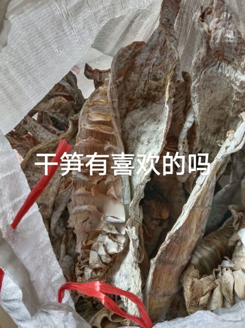 干笋