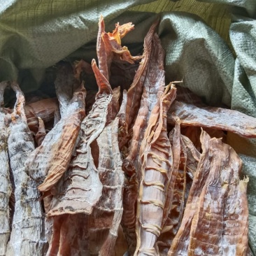 干笋