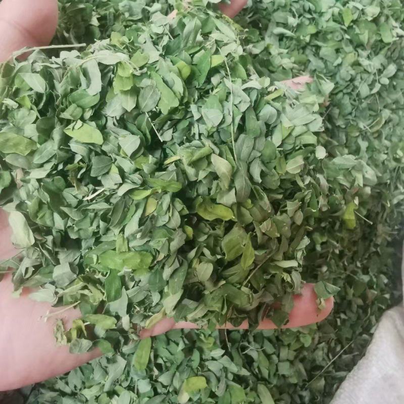 新货小叶鸡骨草