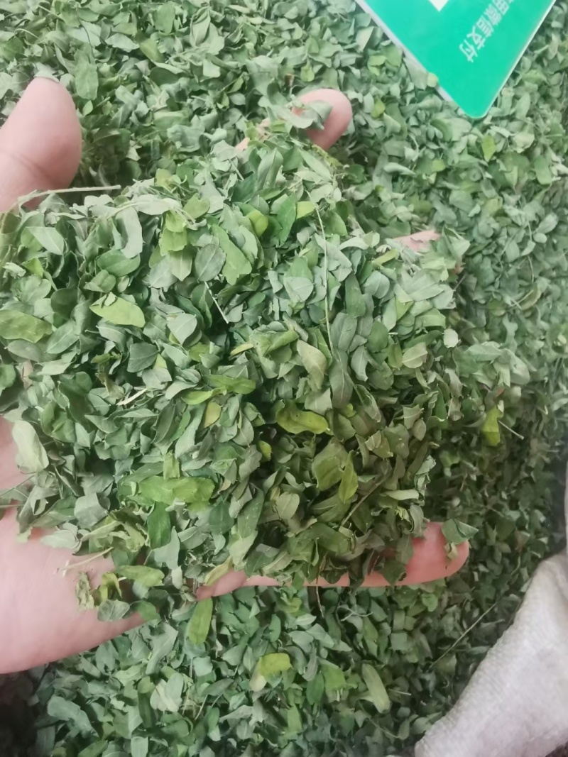 新货小叶鸡骨草