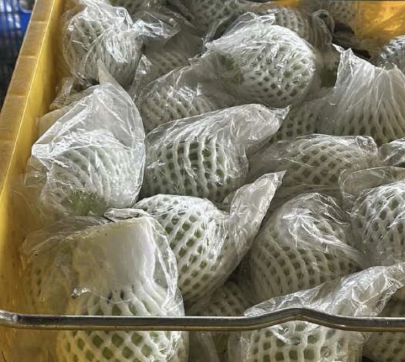 芭乐