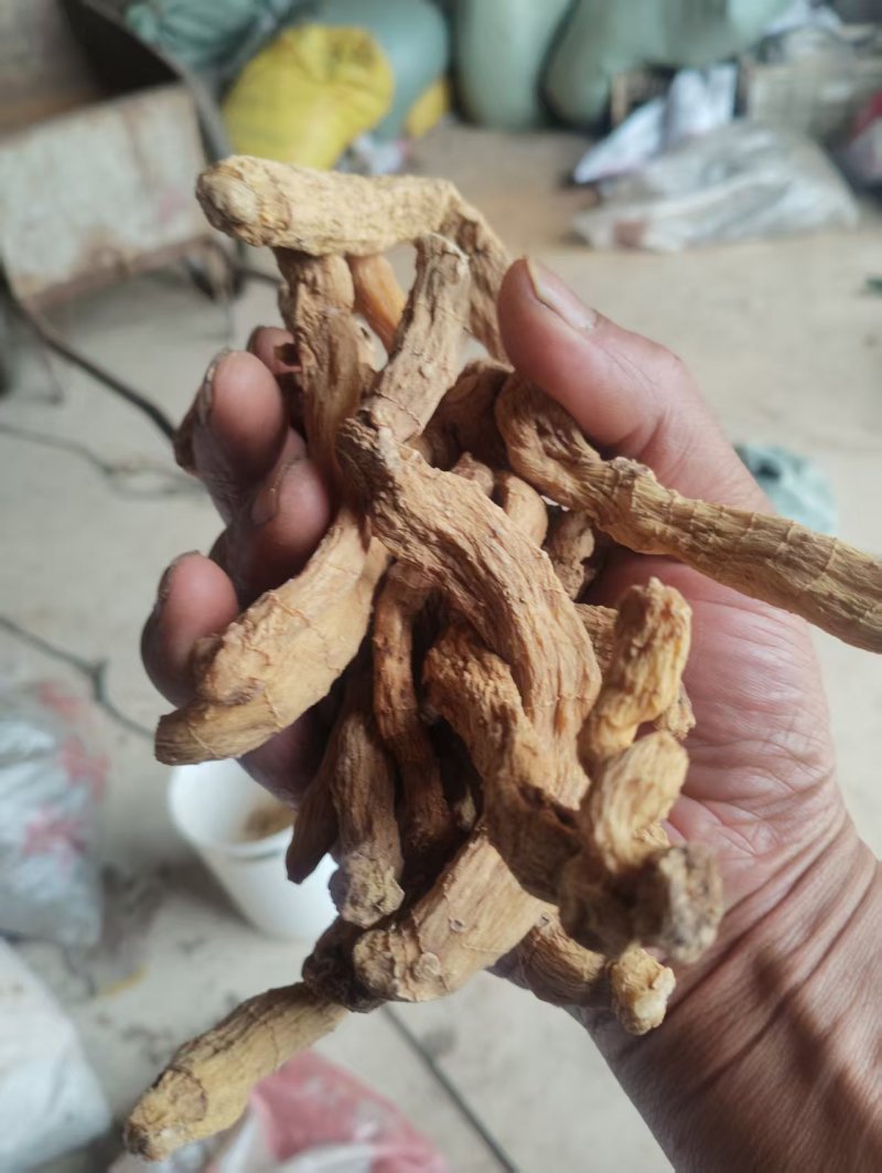 湖南精品玉竹产地直发货品优选欢迎进店咨询