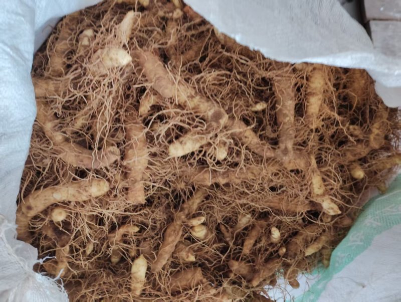 湖南精品玉竹产地直发货品优选欢迎进店咨询