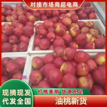 油桃，品质保证，价格优惠，产地直发，实力商家