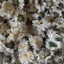 菊花无硫北京菊花杀青北京菊无硫烘干散装批发