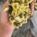 菊花无硫北京菊花杀青北京菊无硫烘干散装批发