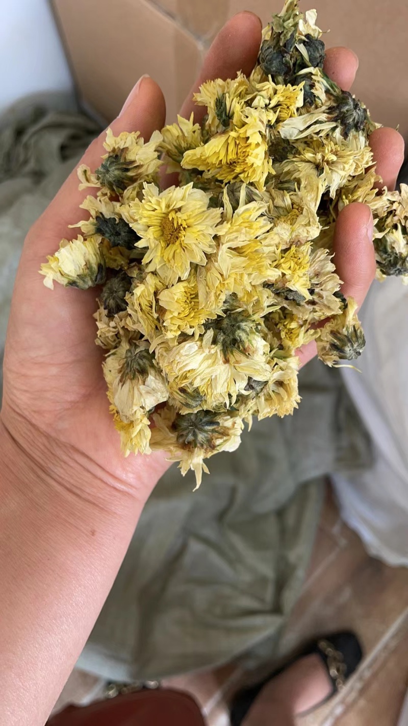 菊花无硫北京菊花杀青北京菊无硫烘干散装批发