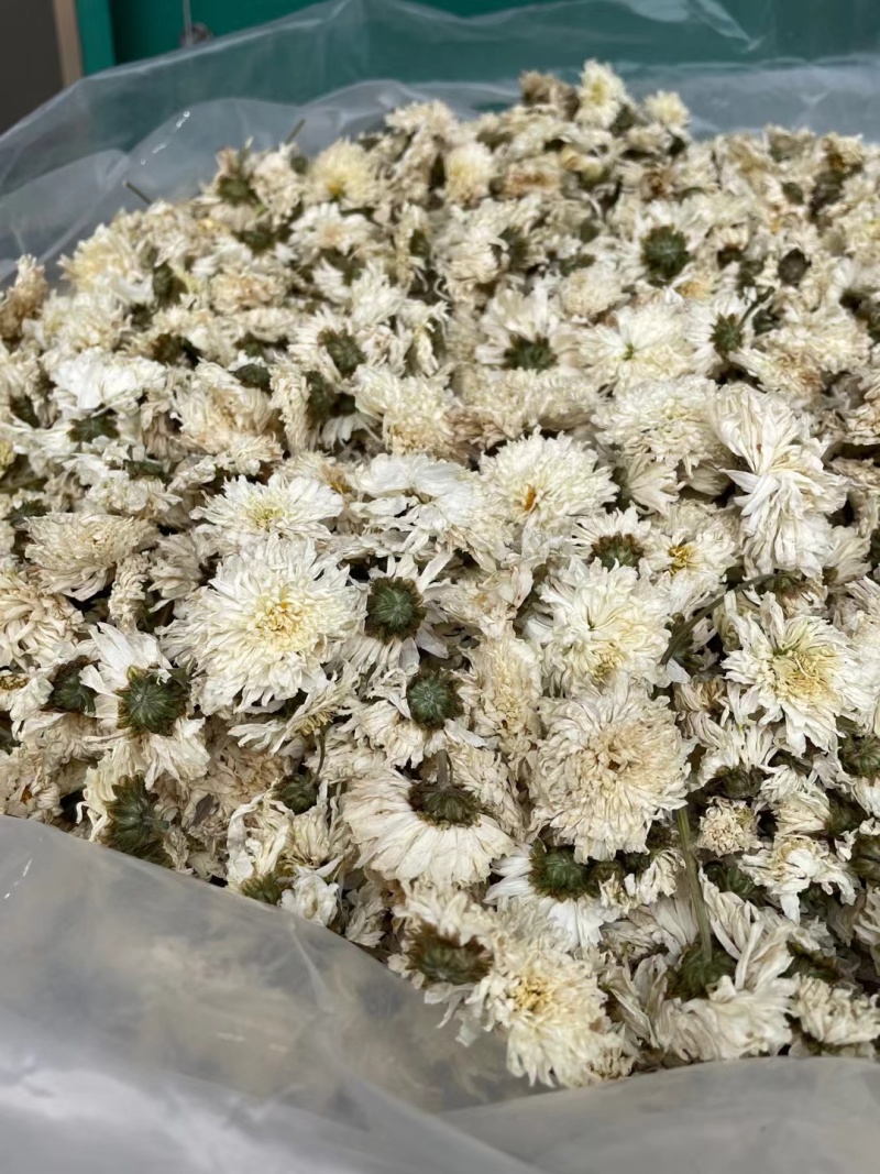 菊花无硫北京菊花杀青北京菊无硫烘干散装批发