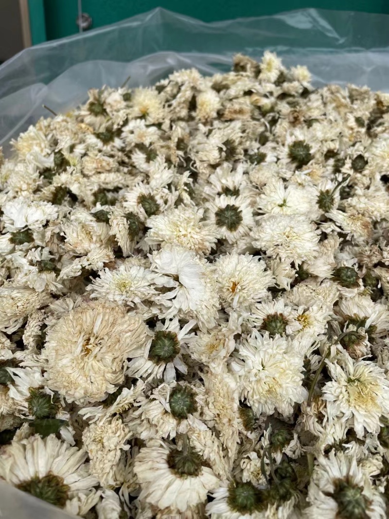 菊花无硫北京菊花杀青北京菊无硫烘干散装批发