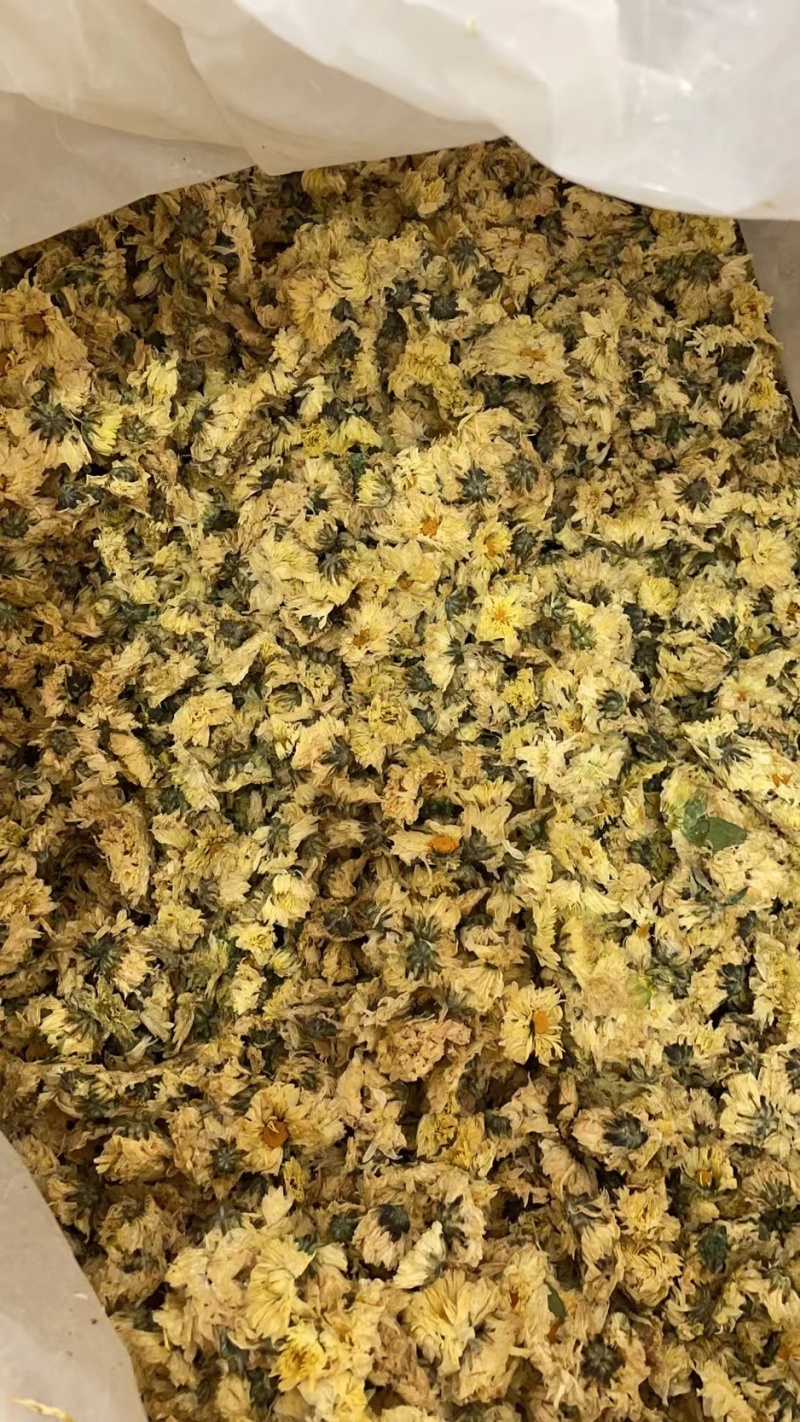 菊花无硫北京菊花杀青北京菊无硫烘干散装批发