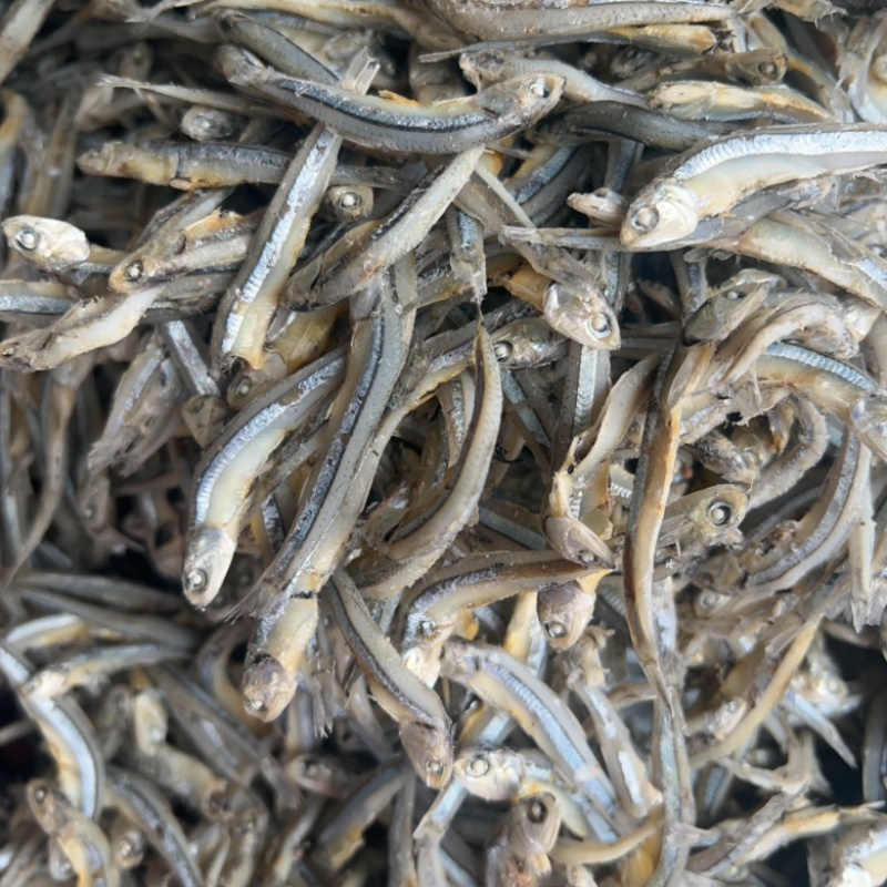 淡生晒金线鱼淡干地摊电商批发有头熟公鱼干干鱼